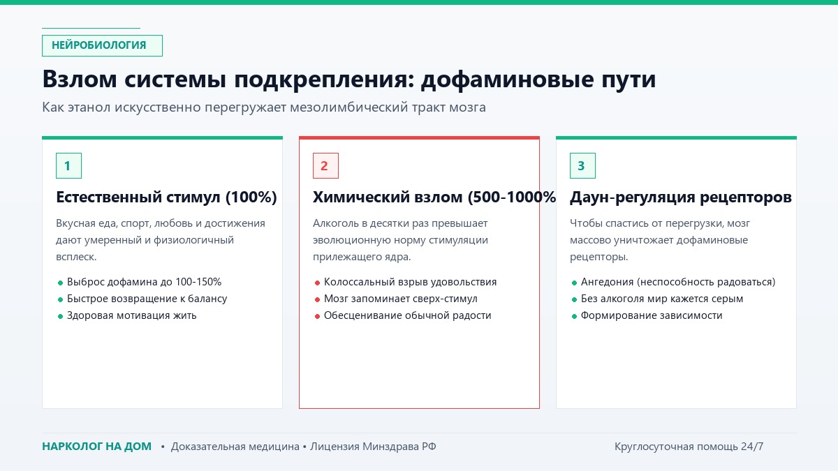 Нейробиология зависимости