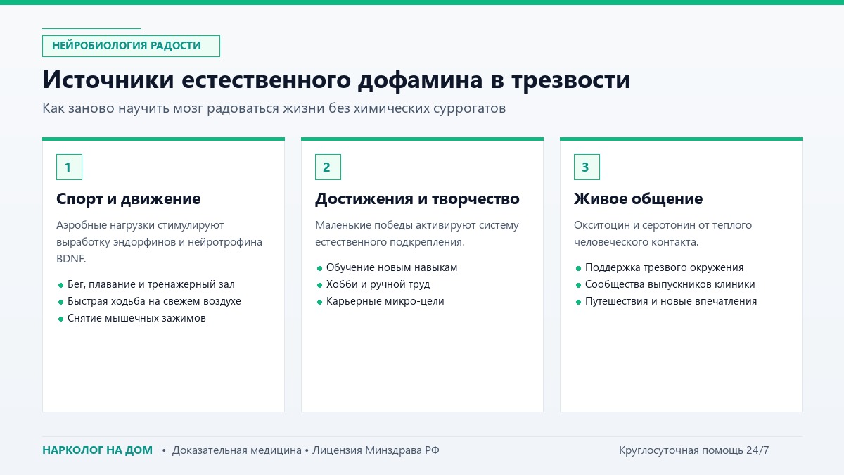 Источники естественного дофамина в трезвости