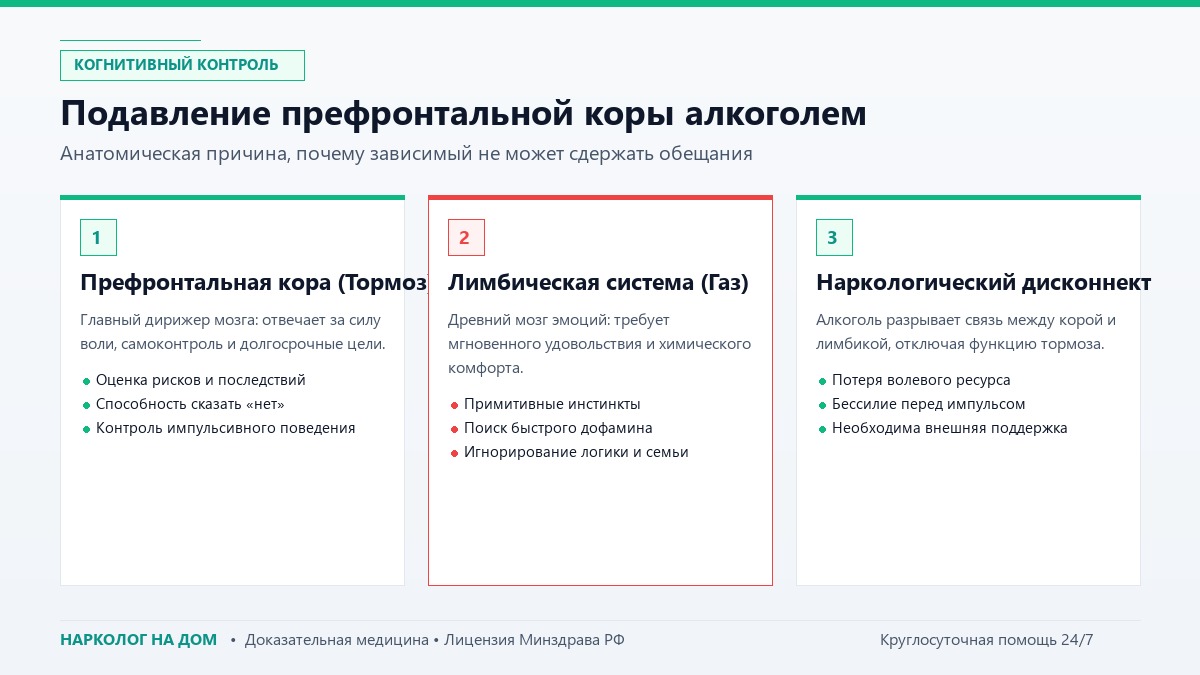 Подавление префронтальной коры алкоголем